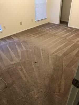 Carpet cleaning