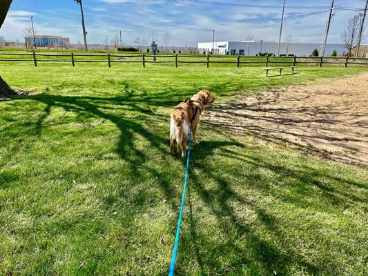 Edge of sand volleyball court