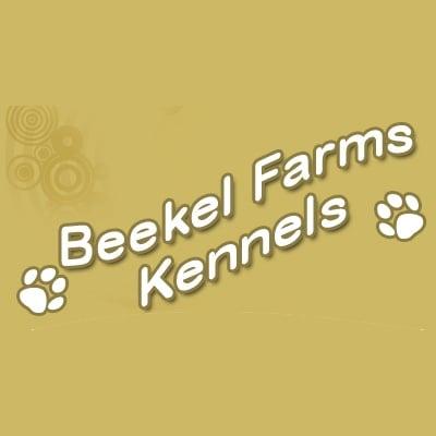 Beekel Farms