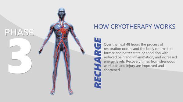 Phase 3: How Cryotherapy Works