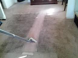 Before our technician started working on this carpet you see how much of a difference he made