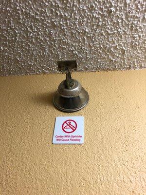 Rusted fire sprinkler