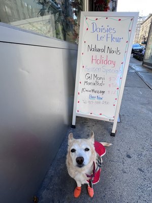 Special offers, dog not included!