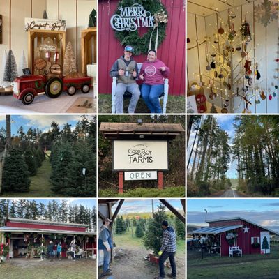 Tree farm, owners & staff mingling with customers, just plan goodness!