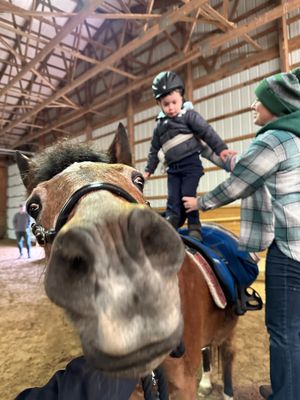 Our horse Dilly during a therapy session in the winter