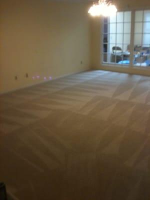 After: Amarillo Steam Team restored carpet from severe pet damage!