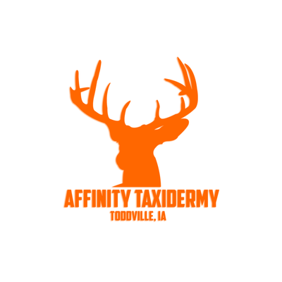 Affinity Taxidermy