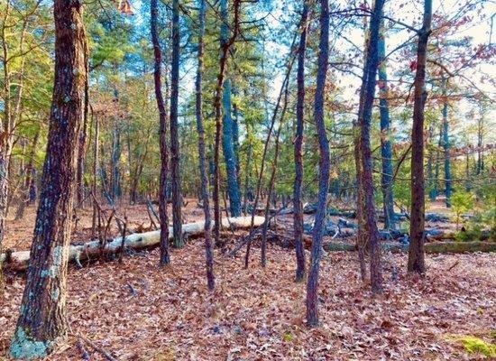 Harold N. Peek Preserve