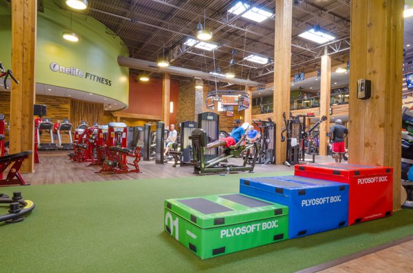 Functional and Turf Training Areas