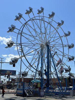 Pacific Aera Carnival