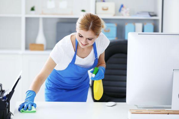 EL Pro Cleaning Services