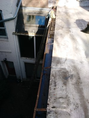 GUTTER CLEANING (after)