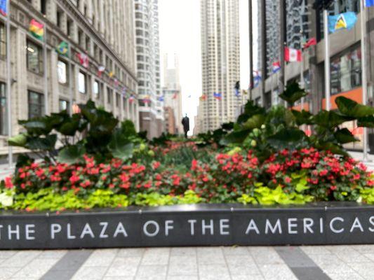 Plaza of the Americas