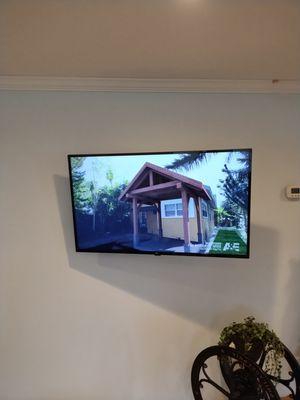 Wall-mounted TV with hidden wires