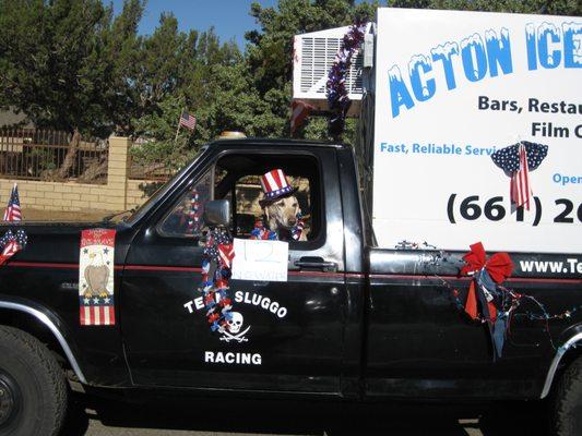 Otis The Ice Dog in the 2017 Acton Independence Day Parade.