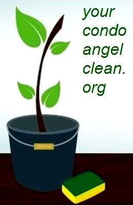 http://yourcondoangelclean.org