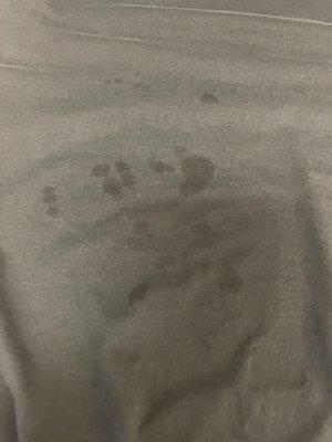 Grease stains from dryer