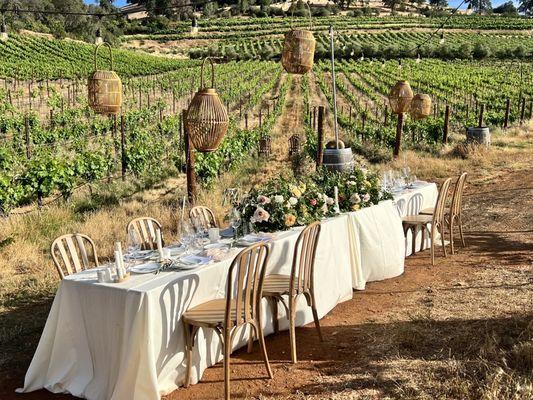 Wedding in the vineyard.