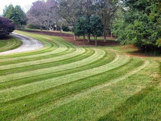 Beautiful lawns start with the right fertilizer, love, and care.  Let us help you have an amazing lawn.