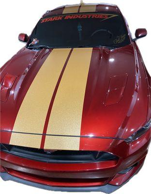 Custom metallic gold racing stripes