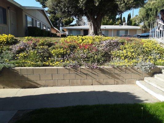 Flowers at front entry of office