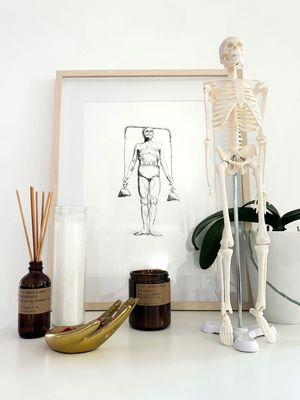 Fire Sign Pilates is a classical Pilates studio dedicated to the work of Joseph Pilates.