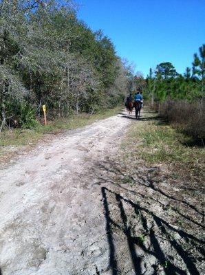 Trail riding at Lake Panassoffkee