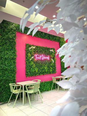 Come check out the selfie wall in yogurbella! Perfect place for TikTok in Naples Florida located in Mercato