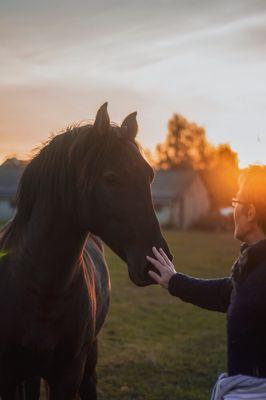 Reiki for horses