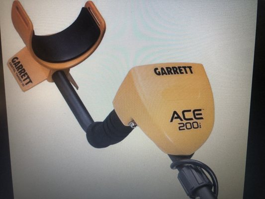 I carry the Garrett Ace 200 and 400. The 200 is a great beginner start a go machine. The 400 is is a step below the AT Pro.