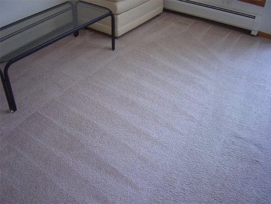 Commercial and Residential Carpet Cleaning