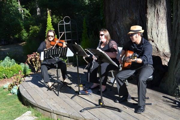 Wedding Ceremony in beautiful Bonny Doon, CA (2014)