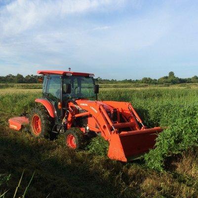 Tractor Mowing Bush Hog