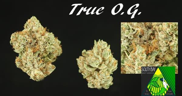 True O.G. @ $40 donations an 1/8, wonderful indica :)