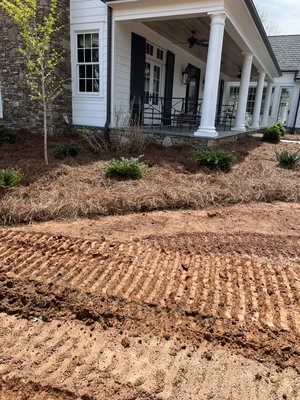 Pine Needles & Planting