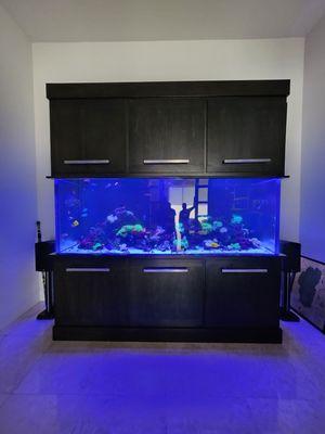 aquarium made of waterproof material. Give us a call for a free quote  702 813 5563  or 424-213-3269