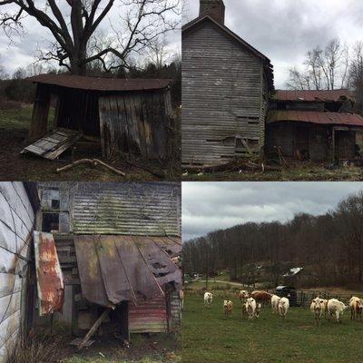 Abingdon, VA Civil War farmstead demo project.