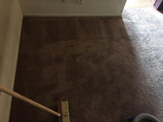 Nice clean carpet for our happy customer