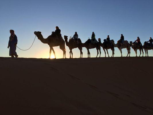 Camel Trekking in the Sahara with G Adventures, booked with Marie Arbeiter Travel Consultant at Protravel International in San Diego !