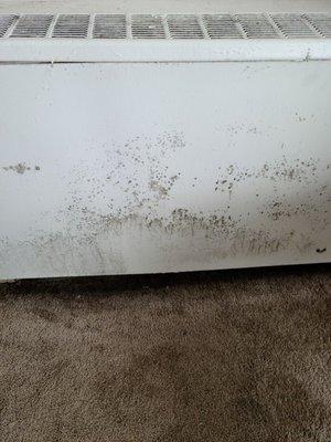 Mold