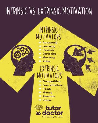 Intrinsic vs Extrinsic Motivation