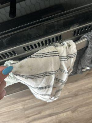 Mold on kitchen towel