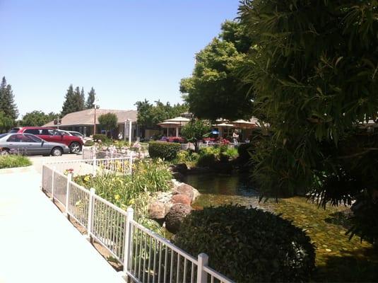 Pond area near Starbucks