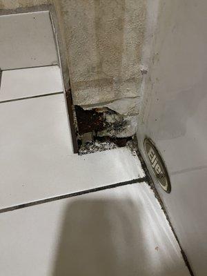 Missing tile piece and possible mold