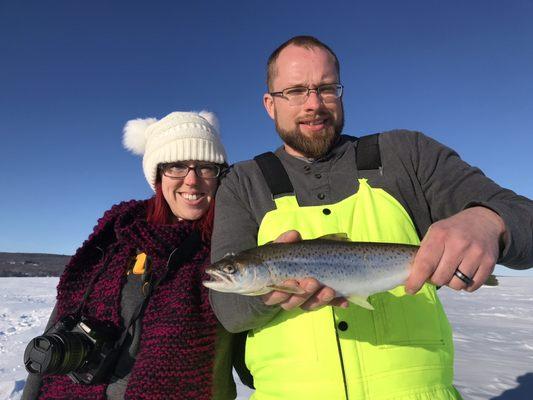 Brown Trout