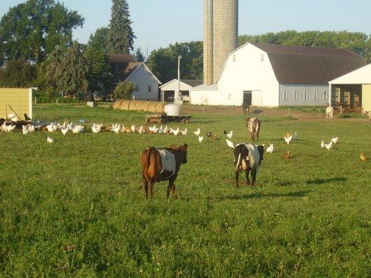 We may be tending to the livestock so we will not always be there to pick up the phone. Please leave a clear message so we can call back.