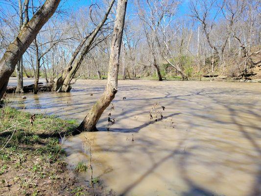 Sycamore Run Park