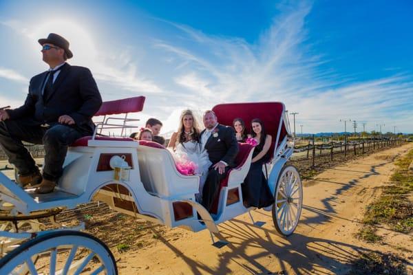 Absolutely gorgeous winery wedding with horse and carriage!