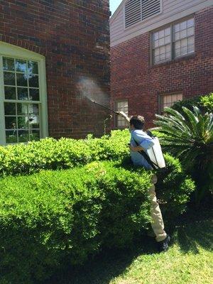 Perimeter Pest Treatment