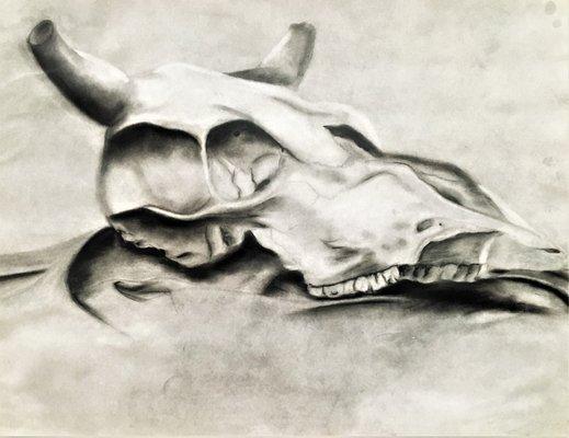 Charcoal still life drawing by instructor, Sitara